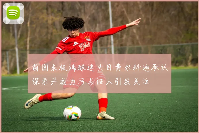 前国米极端球迷头目费尔科迪承认谋杀并成为污点证人引发关注